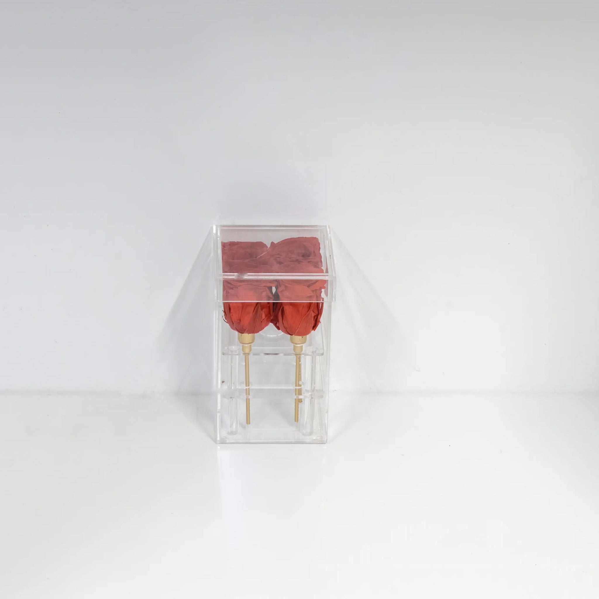 Arkylbox 4 - Florisa