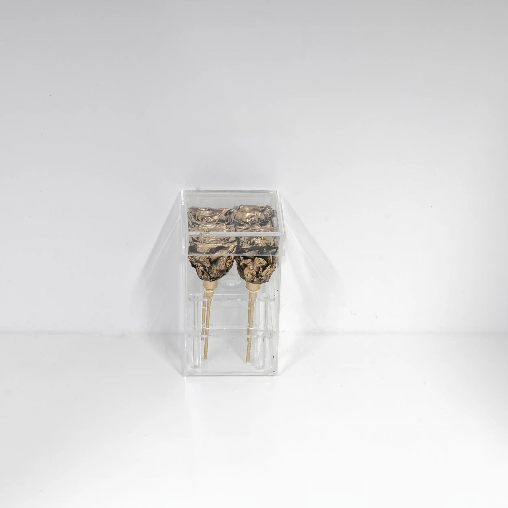 Arkylbox 4 - Florisa