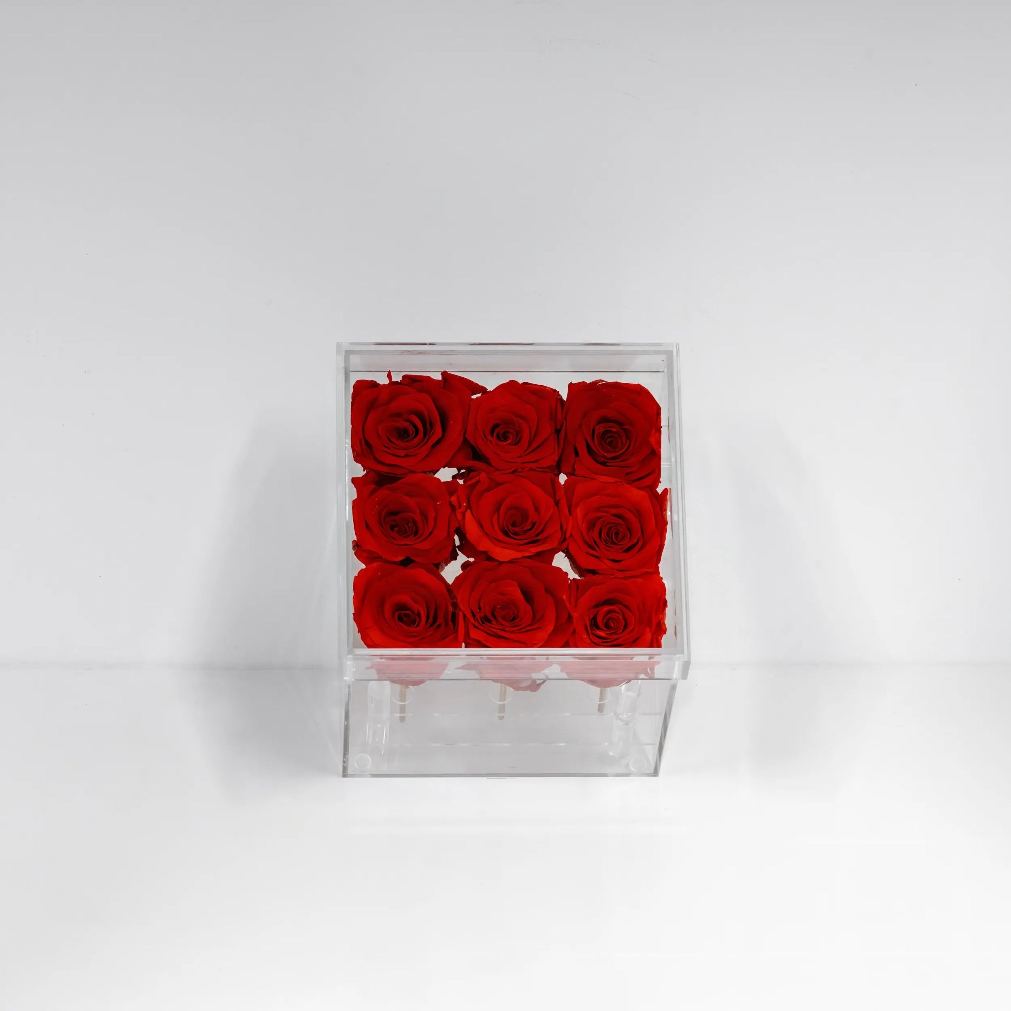 Arkylbox 9 - Florisa