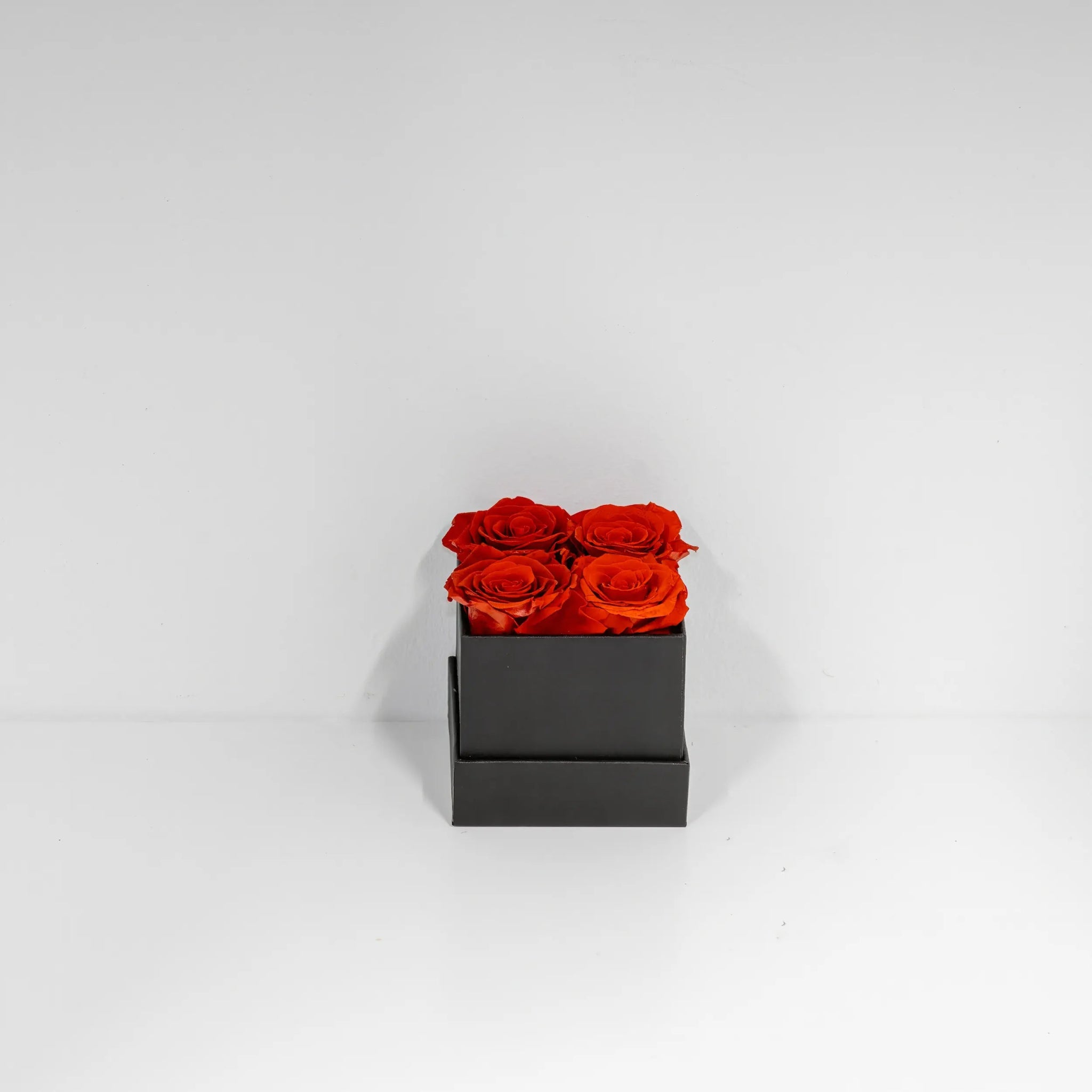 Fyrkantig Klassisk 4 - Florisa