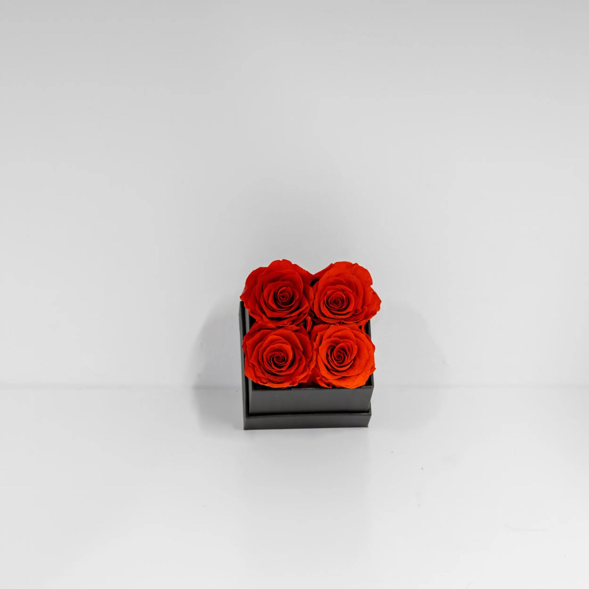 Fyrkantig Klassisk 4 - Florisa